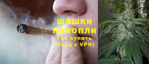 амф Сосновоборск