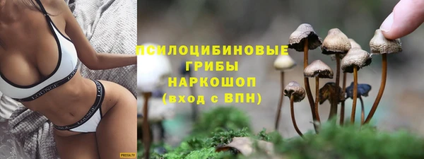 амф Сосновоборск