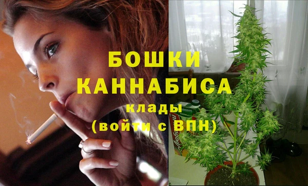 гидропоника Сосновка